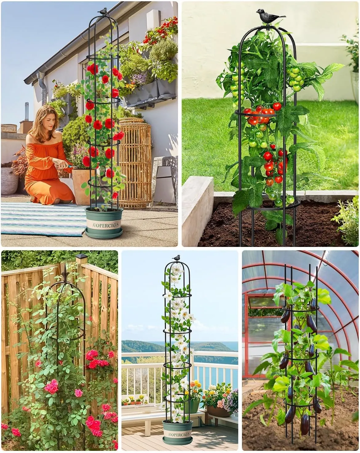 2 Pcs Garden Trellis for Climbing Plants, 6.2 Ft Rustproof Metal Pipe with Heavy Duty Plastic Coated, Garden Outdoor Indoor Potted Plant Support, Obelisk Garden Trellis for Climbing Vine