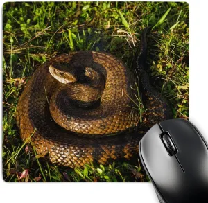 3D Rose "Cottonmouth Or Water Moccasin Barrier Islands Georgia USA" Matte Finish Mouse Pad - 8 x 8" - mp_230582_1