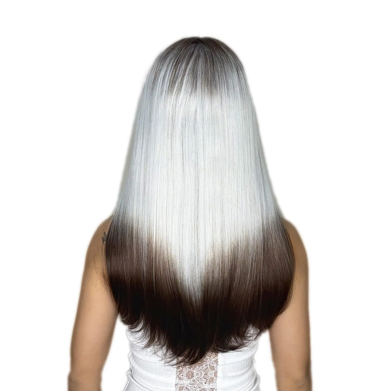 ENTRANCED STYLES Ombre Sliver Grey Wigs with Bangs Black Gray Wig for Women Long Straight Hair Wig for Beginner Synthetic Cosplay Hair for Party Daily Use 22 inch