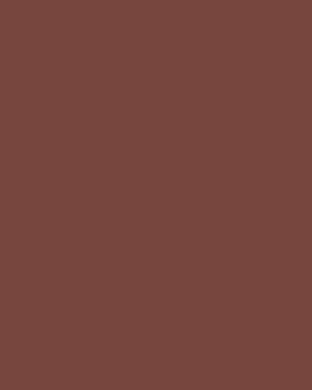 Flormar Hd Weightless Matte Lipstick -017 Rose Up