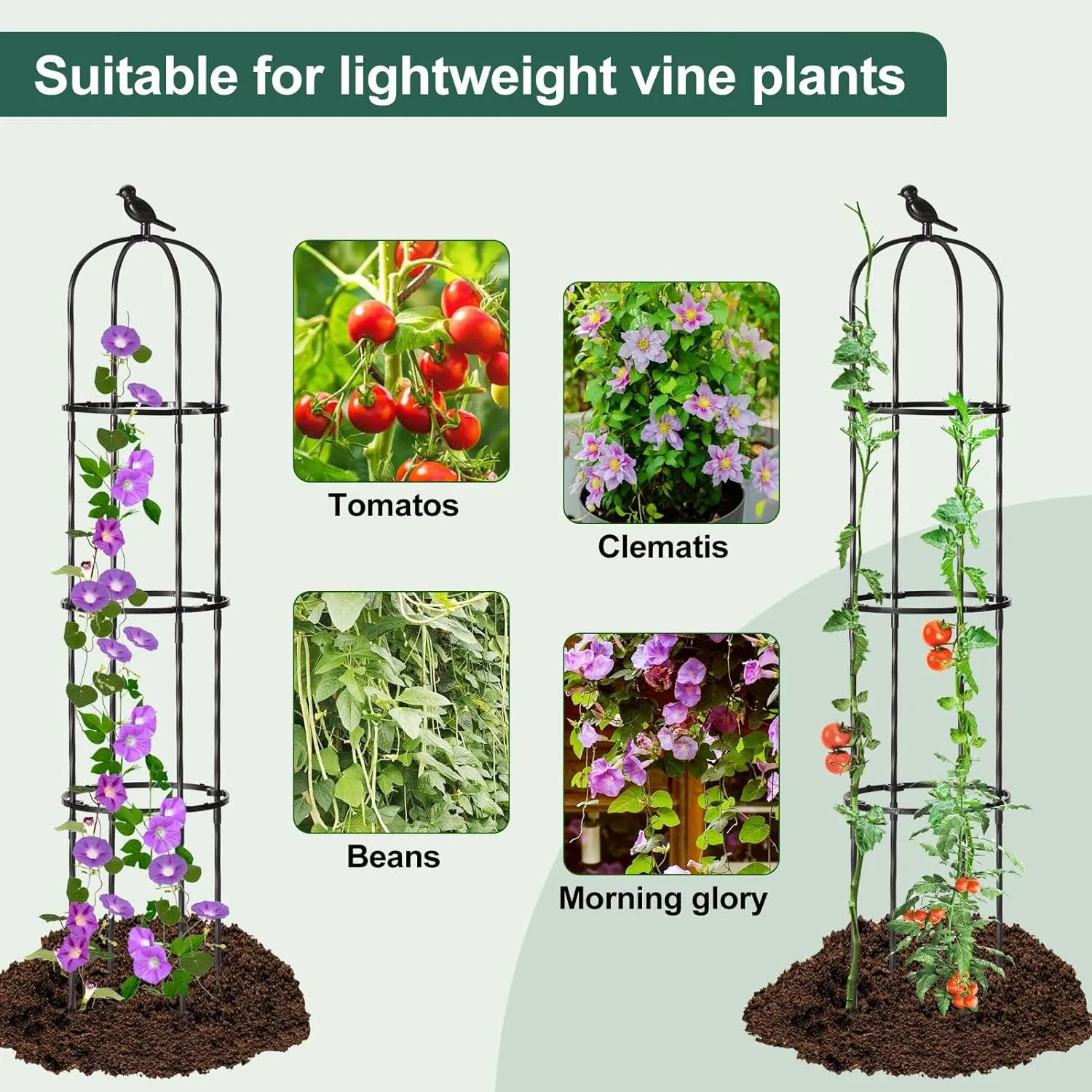 Garden Trellis for Climbing Plant Outdoor, 67" Tall Cucumber Trellis for Pot Raised Bed Climbing Vine Plants Vegetable Pea Bean Tomato Rose Clematis Cucumber Trellis, 2 Pack