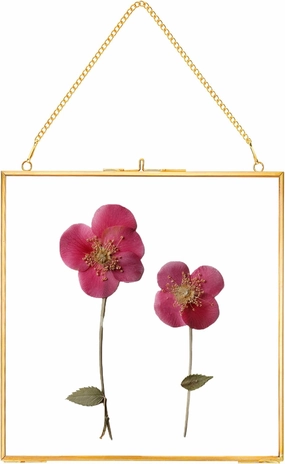 Glass Pressed Flower Frames,Vintage Hanging Picture Frames with Chain,Handmade Brass Floating Picture Frame,Plant Specimen Wall Ornament Display Artwork DIY Family Photo,Square,Gold,8x8 Inches