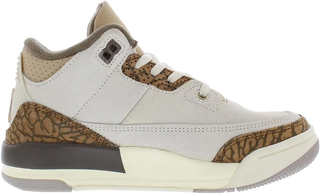 Jordan 3 Retro PS Boys Shoes