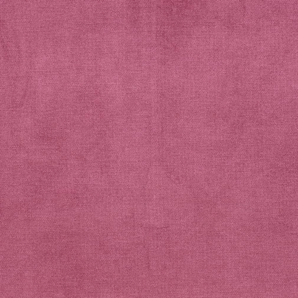 Lawrence Fuchsia