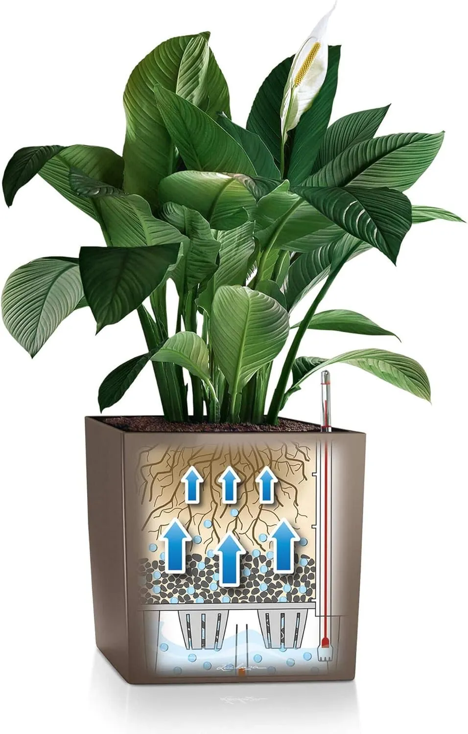 Lechuza Cube 40 Medium Flower Indoor/Outdoor Garden Floor Self-Watering Planter with Drainage Hole with Plant Substrate Contemporary Poly-Resin D40 H40 L40 W40 cm Grey 3.37 Kg