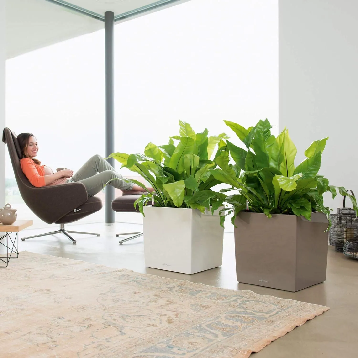 Lechuza Cube 40 Medium Flower Indoor/Outdoor Garden Floor Self-Watering Planter with Drainage Hole with Plant Substrate Contemporary Poly-Resin D40 H40 L40 W40 cm Grey 3.37 Kg