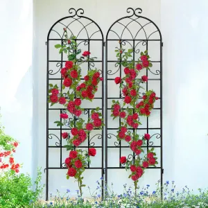 Lorenzo 2 Pcs 70 x 19.7 inch Metal Garden Trellis for Climbing Plants, Black Metal Coating Rustproof, Perfect for Supporting Climbing Plants Outdoor