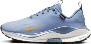 Nike InfinityRN 4 Gore-TEX Women's Waterproof Road Running Shoes (FB2197-400, Ashen Slate/Diffused Blue/Platinum Tint/Metallic Gold) Size 10