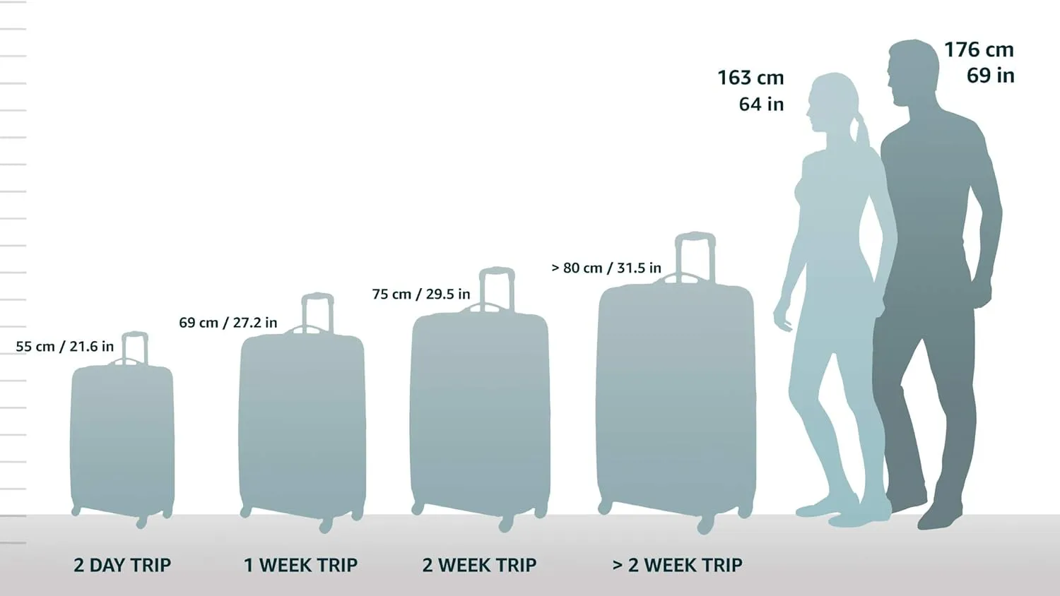 Rockland Melbourne Hardside Expandable Luggage with Spinner Wheels, Metallic, Carry-On 20"