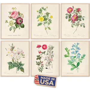 Vintage Roses Wall Art Prints (Set of 6) - Unframed - 8x10s | Botanical Decor - Vintage Sketch Prints - French Country - Flower Aesthetic Room Decor